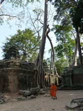 vignette Cambodge_1230.jpg 