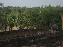 vignette Cambodge_1443.jpg 