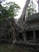 vignette Cambodge_1556.jpg 