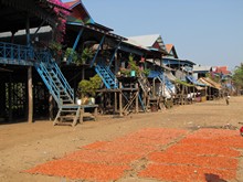 vignette Cambodge_1905.jpg 