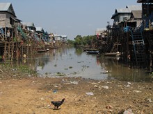 vignette Cambodge_1954.jpg 