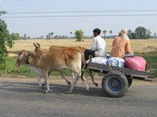 vignette Cambodge_2052.jpg 