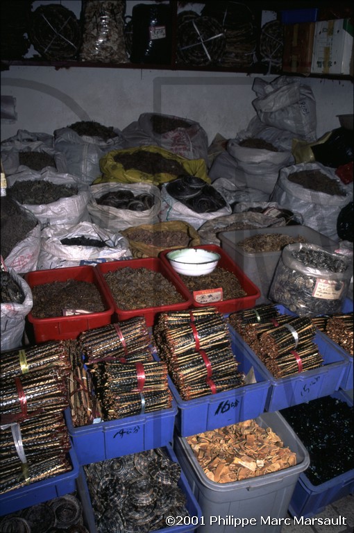 /ecran/Chine_2001_052.jpg