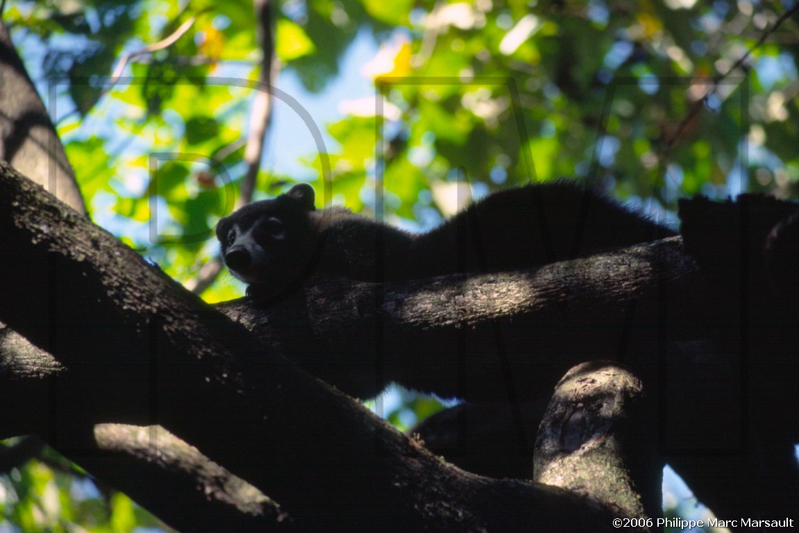 /ecran/D_Costa-Rica_069.jpg