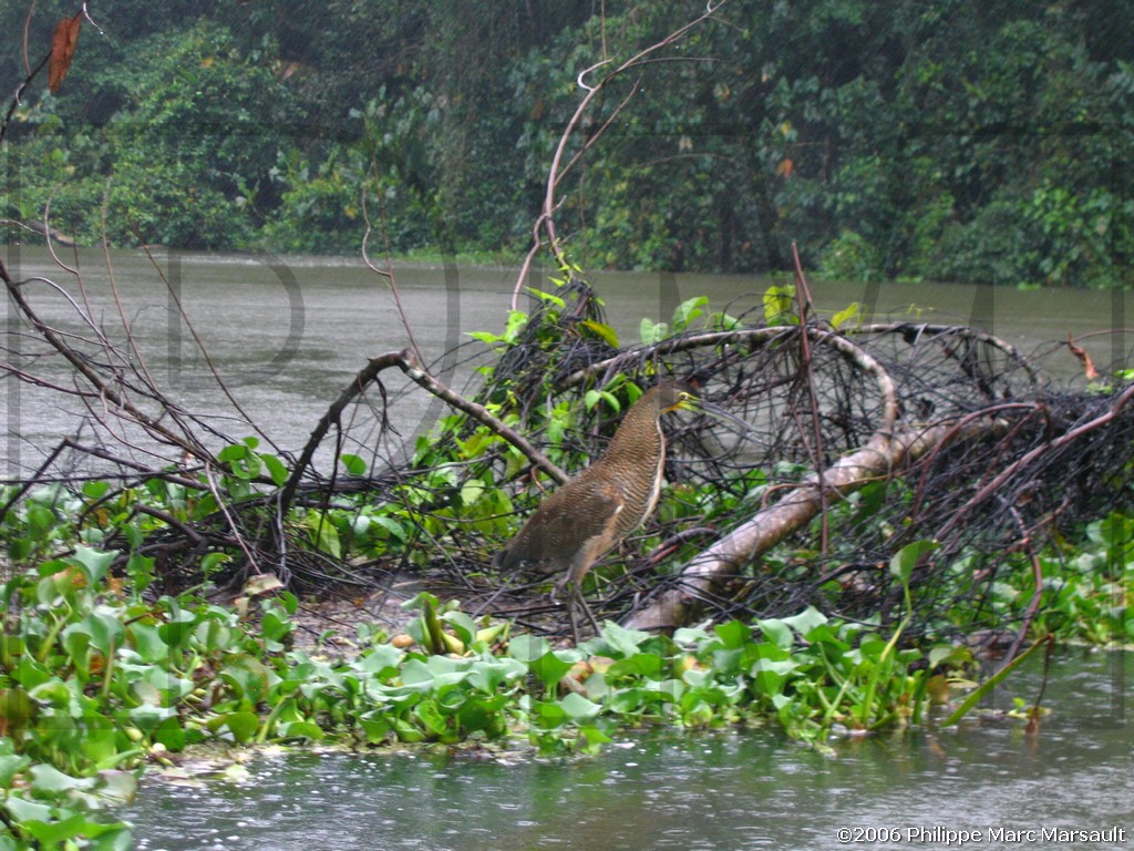 /ecran/N_Costa-Rica_065.jpg