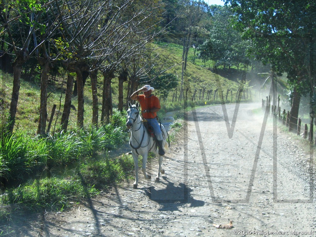 /ecran/N_Costa-Rica_243.jpg