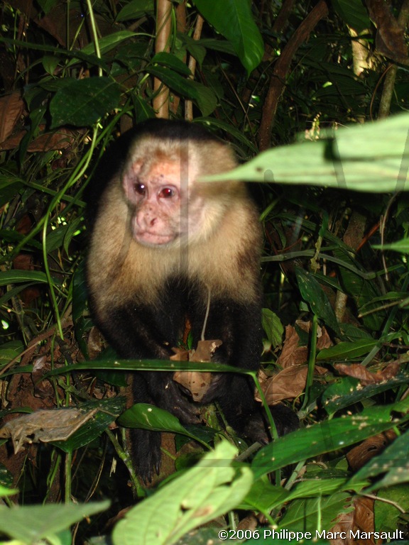 /ecran/N_Costa-Rica_327.jpg