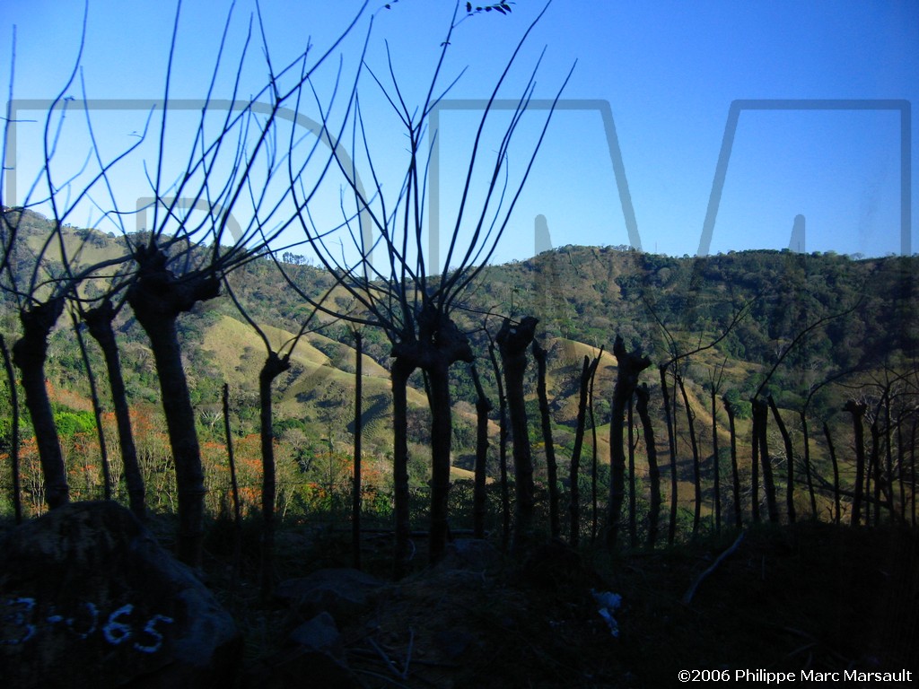 /ecran/N_Costa-Rica_361.jpg