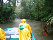 vignette N_Costa-Rica_078.jpg 