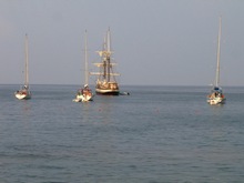vignette N_eoliennes_204.jpg 