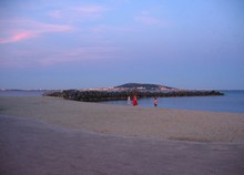 vignette thau_018.jpg 