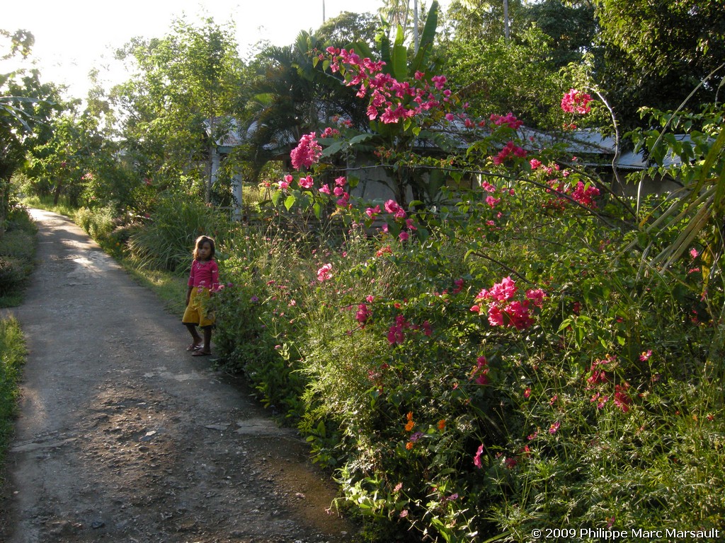 /ecran/Manado_2009_0158.jpg