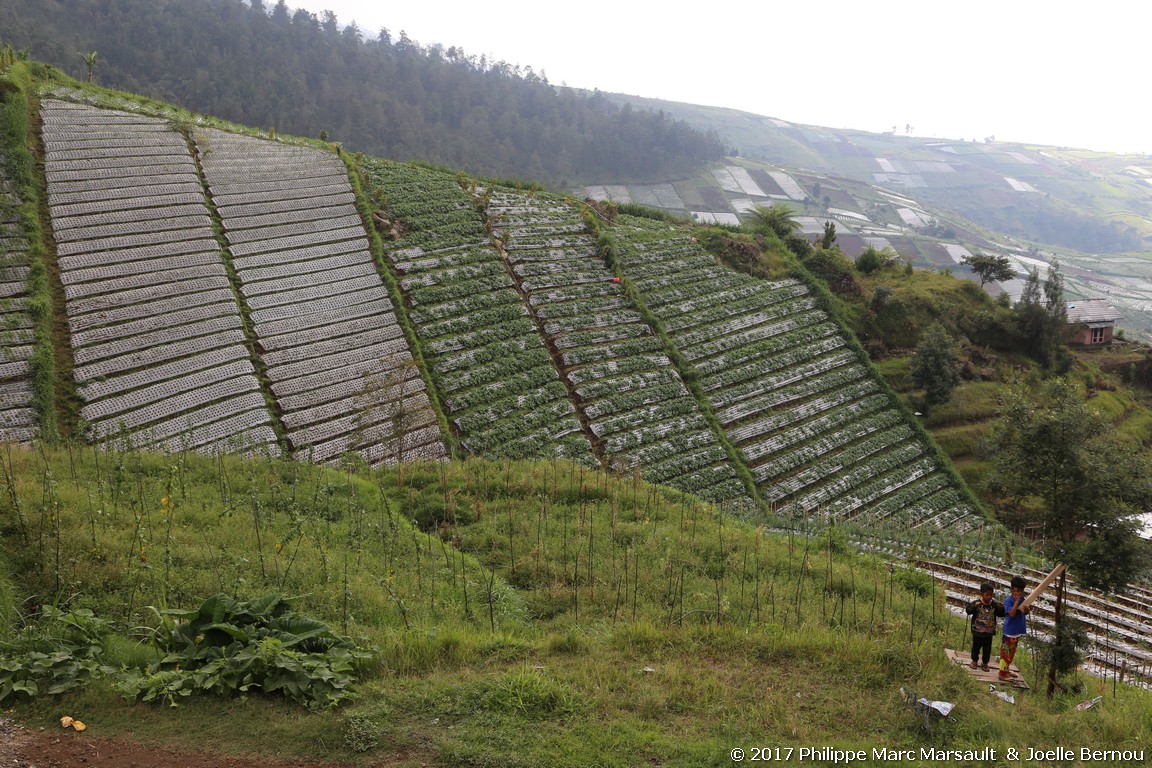 /ecran/Indonesie_2017_0078.jpg