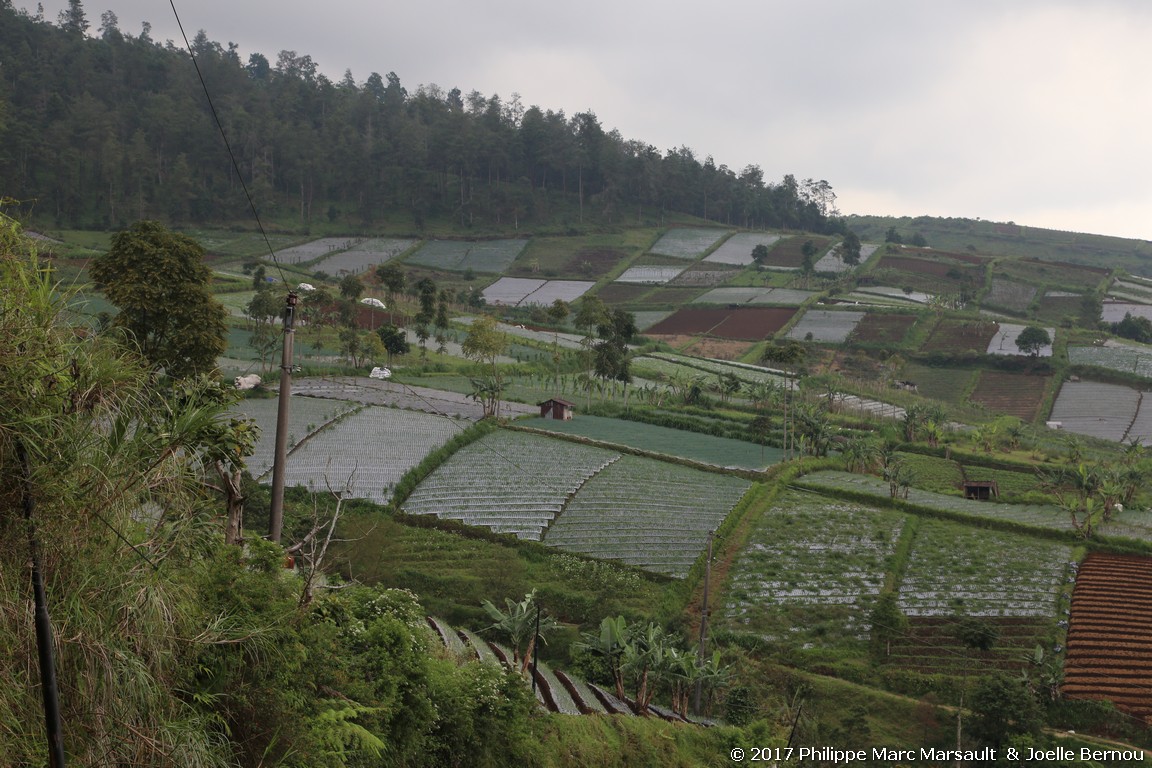 /ecran/Indonesie_2017_0102.jpg