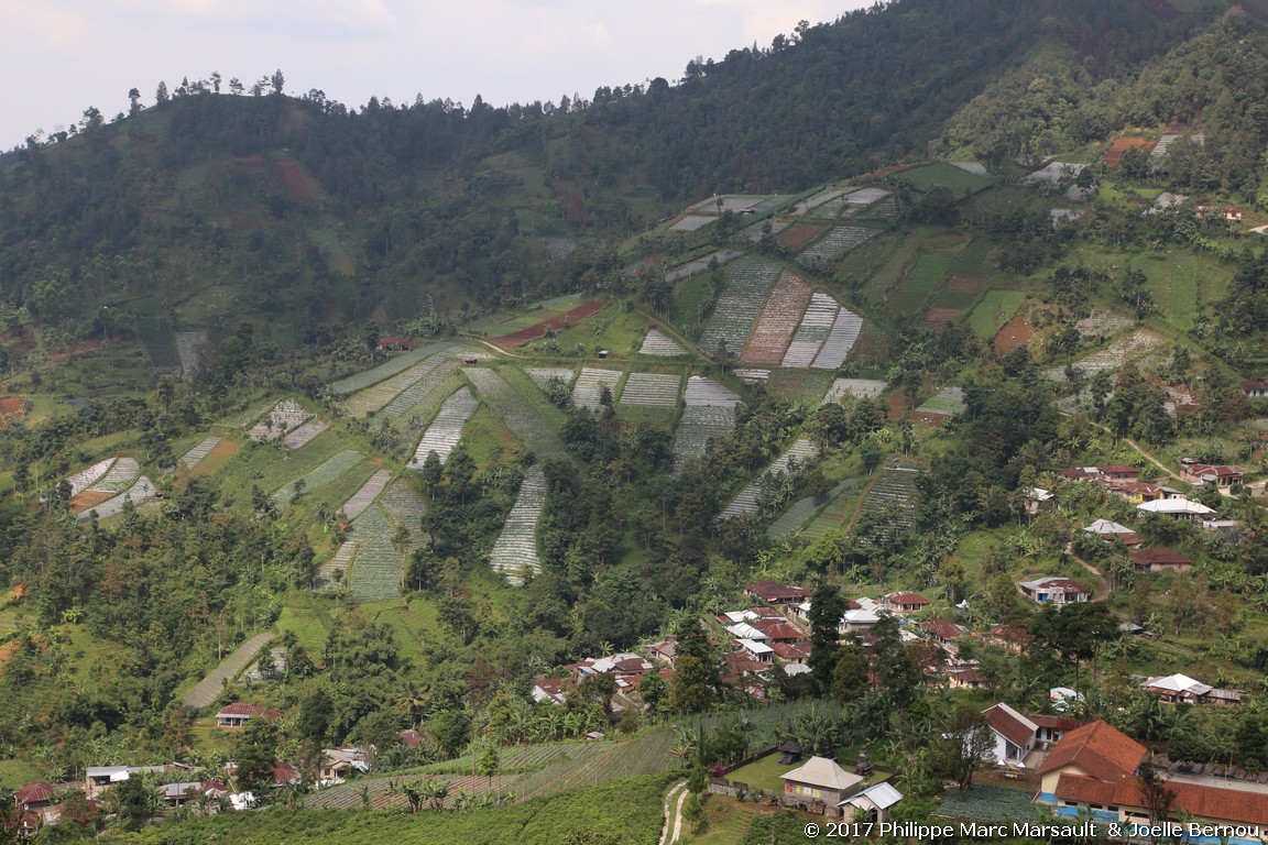 /ecran/Indonesie_2017_0111.jpg