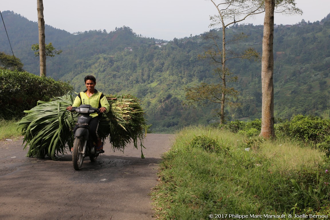 /ecran/Indonesie_2017_0112.jpg