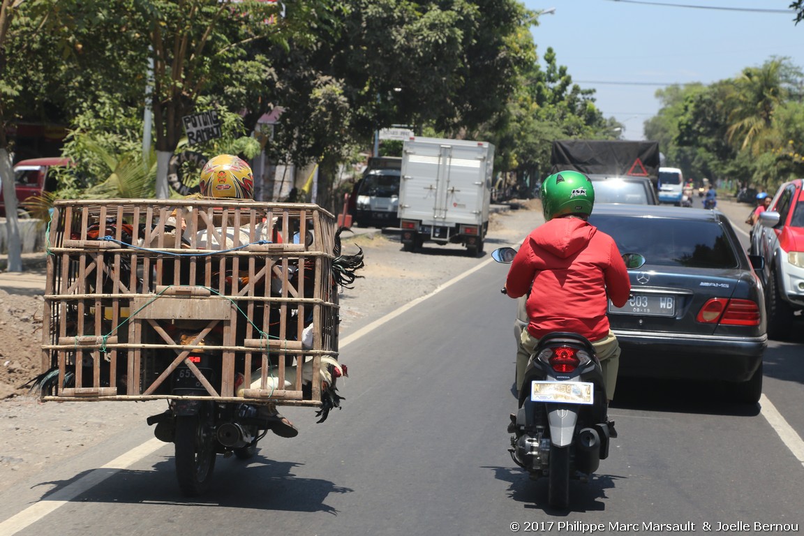 /ecran/Indonesie_2017_0273.jpg