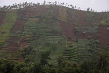 vignette Indonesie_2017_0164.jpg 