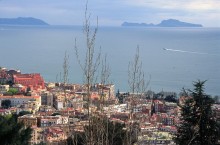 vignette D_Naples_2005_030.jpg 