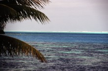 vignette D_polynesie_059.jpg 