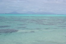 vignette polynesie_075.jpg 