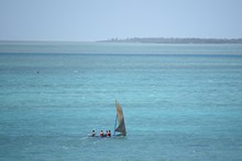 vignette Rodrigues_078.jpg 