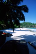 vignette seychelles_007.jpg 
