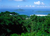 vignette seychelles_018.jpg 