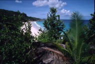 vignette seychelles_034.jpg 