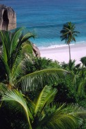 vignette seychelles_036.jpg 