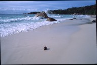 vignette seychelles_045.jpg 