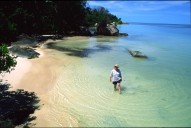 vignette seychelles_048.jpg 