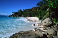 vignette seychelles_052.jpg 