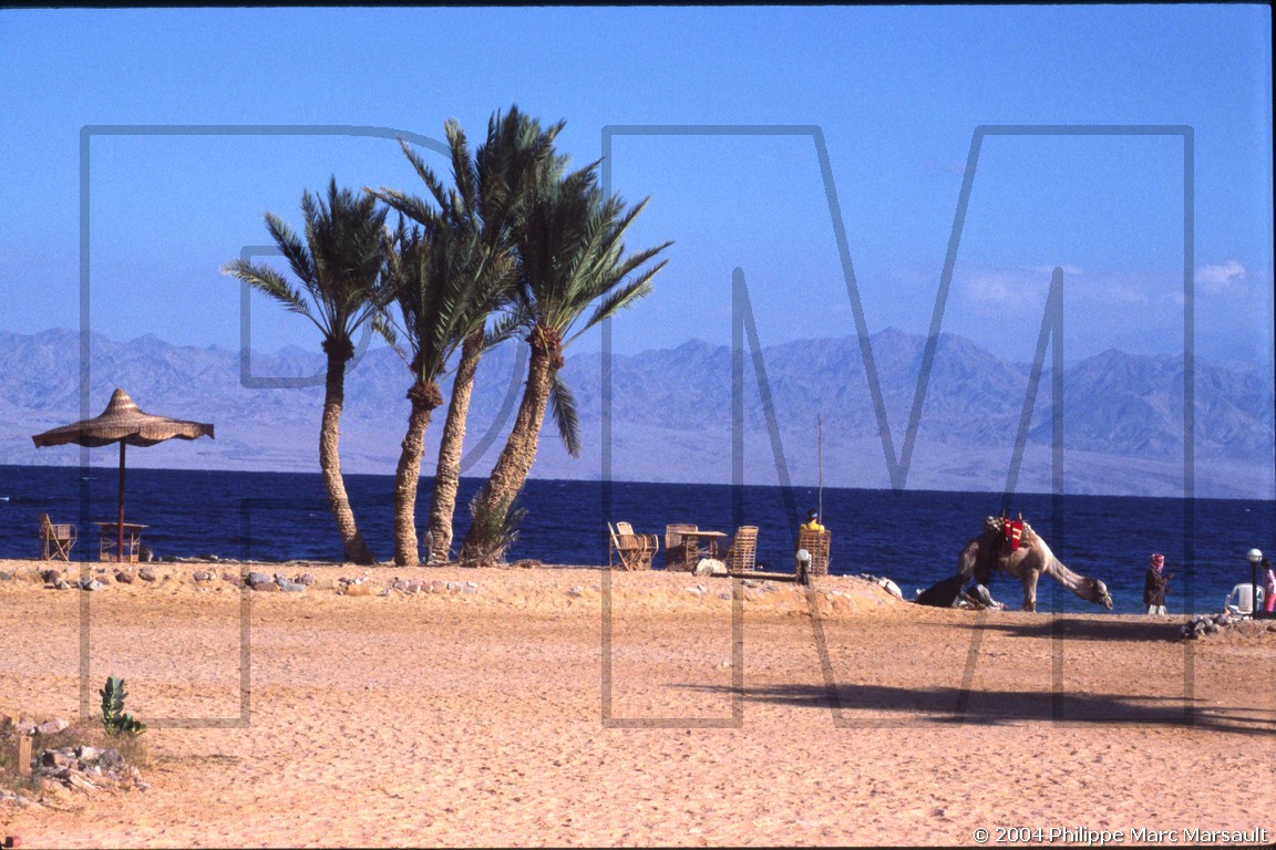 /ecran/D_sharm_el_cheikh_032.jpg