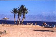 vignette D_sharm_el_cheikh_032.jpg 