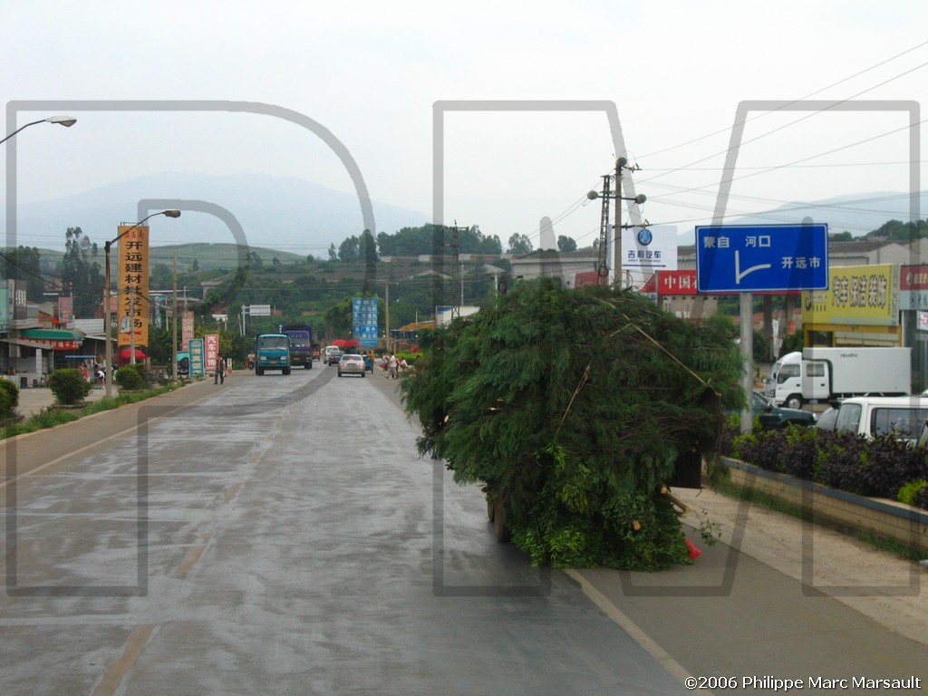 /ecran/N_yunnan_2006_073.jpg
