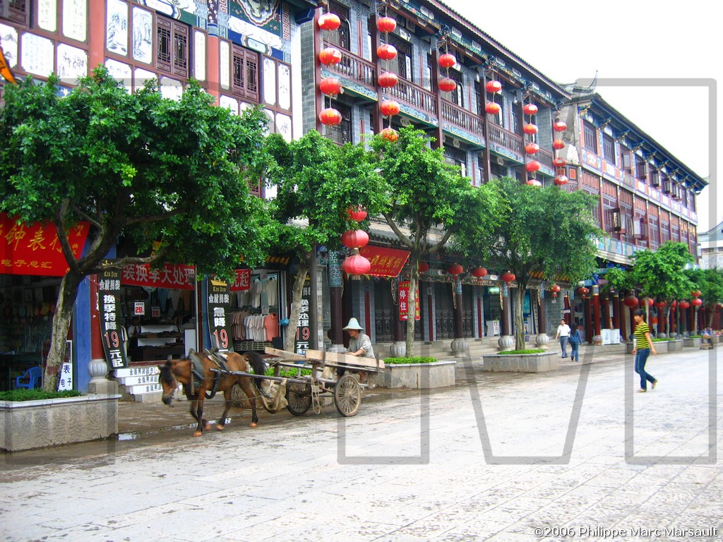 /ecran/N_yunnan_2006_241.jpg