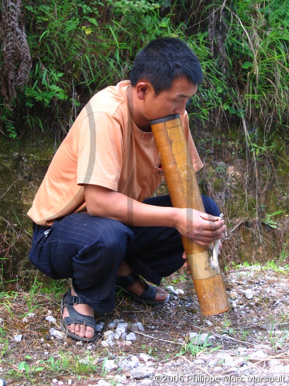 /ecran/N_yunnan_2006_535.jpg