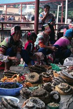 vignette D_yunnan_038.jpg 