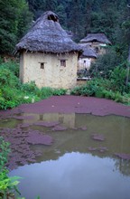 vignette D_yunnan_064.jpg 