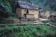 vignette D_yunnan_065.jpg 