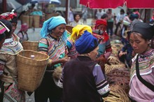 vignette D_yunnan_081.jpg 