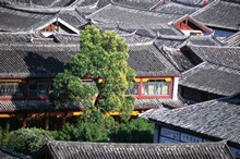 vignette D_yunnan_156.jpg 