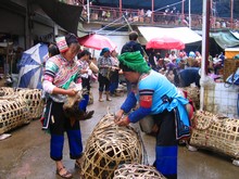 vignette N_yunnan_2006_106.jpg 