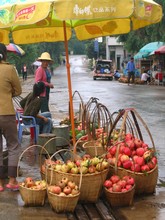 vignette N_yunnan_2006_172.jpg 