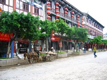 vignette N_yunnan_2006_241.jpg 