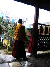 vignette N_yunnan_2006_547.jpg 