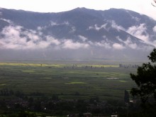 vignette N_yunnan_2006_556.jpg 