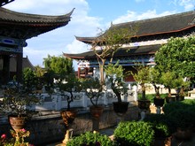 vignette N_yunnan_2006_681.jpg 