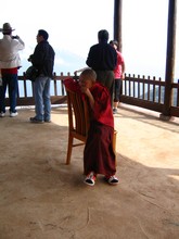 vignette N_yunnan_2006_705.jpg 